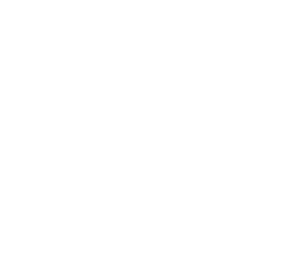 Section4 architecture
